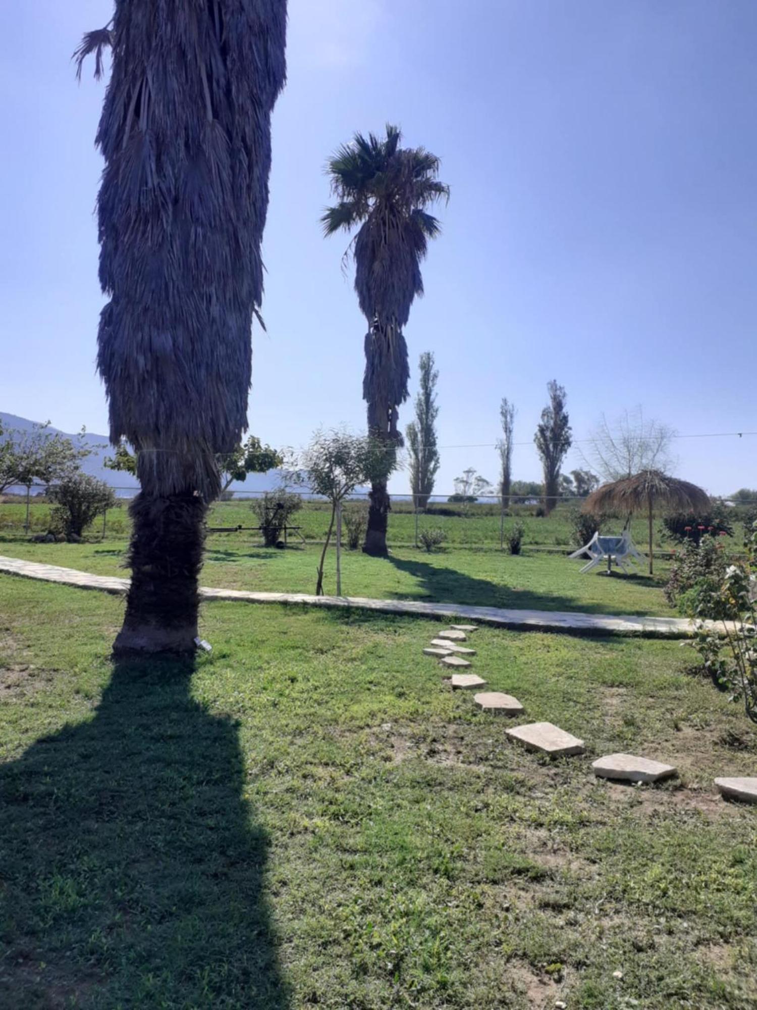 Virginia Villa Lixouri