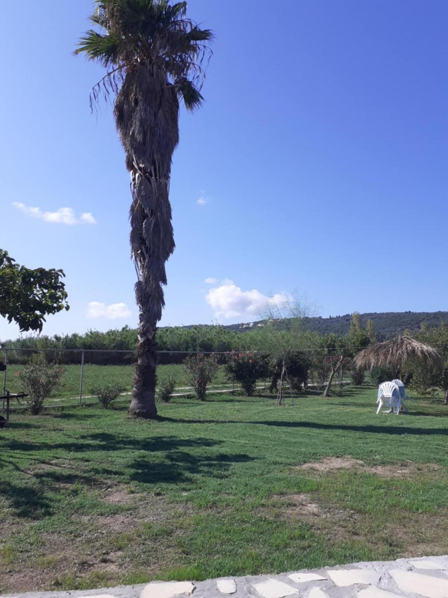 Vila Virginia